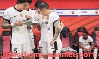 完美体育官方网站-意甲球队在转会市场上的总损失金额统计